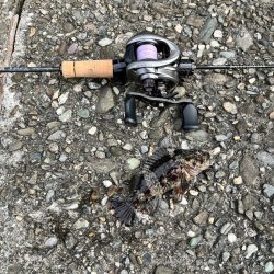 徳島県まで初見で行ってみた結果