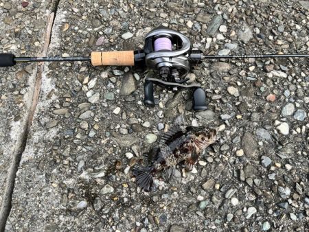 徳島県まで初見で行ってみた結果