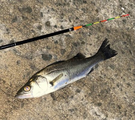 冷え込む日になりました。