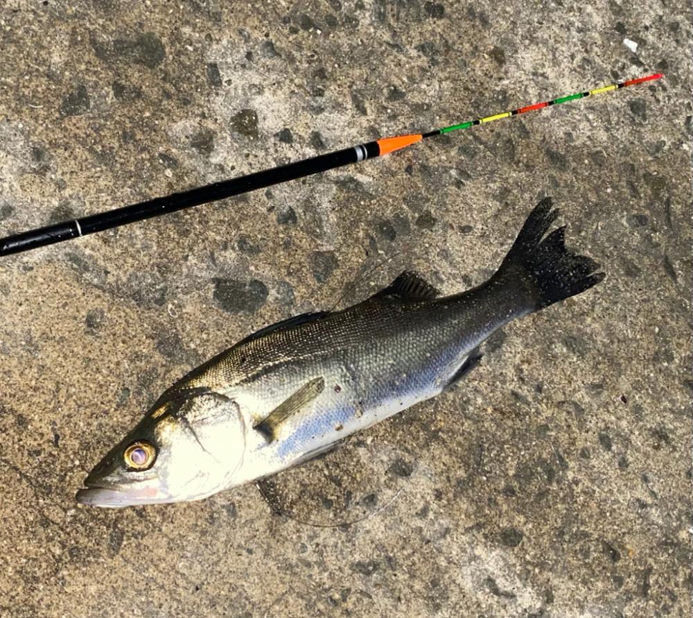 冷え込む日になりました。