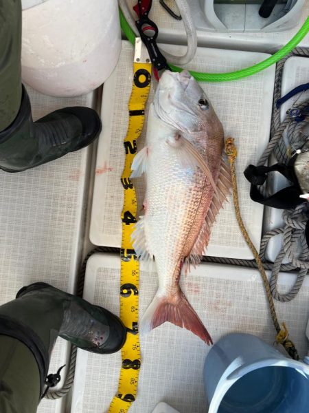 コレ横綱が持つやつ！！