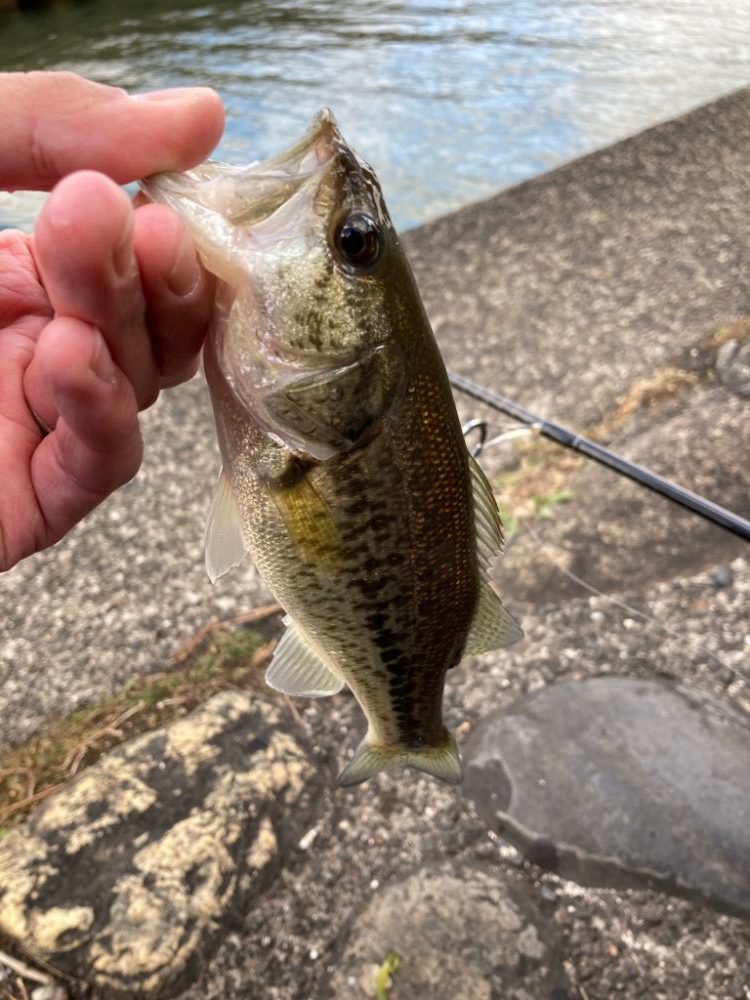 寒波到来もまだまだ釣れる！