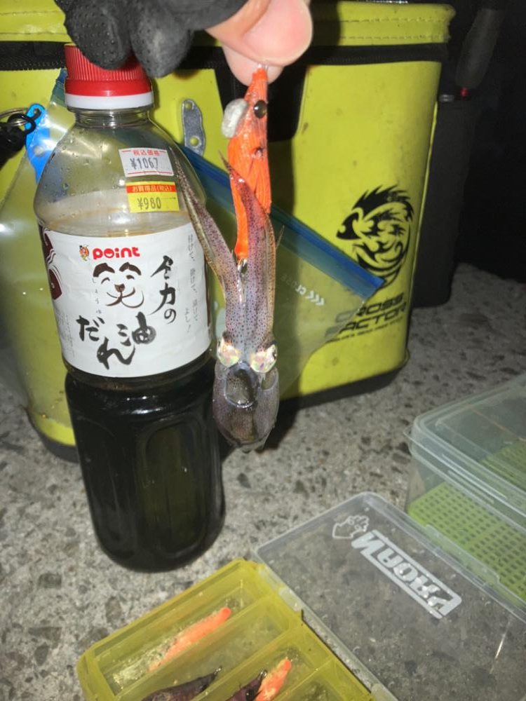 ヒイカはタイミング？(^.^)