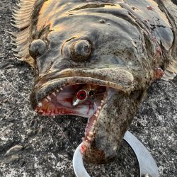 丸の海（丸呑み）