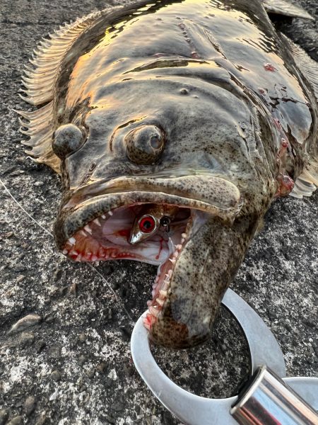 丸の海（丸呑み）