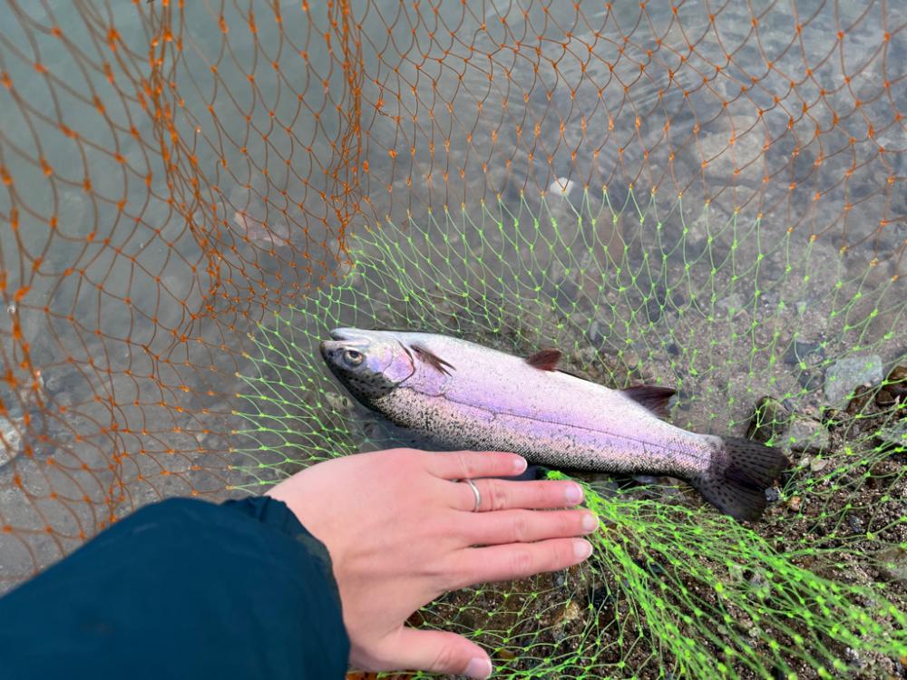 管釣り