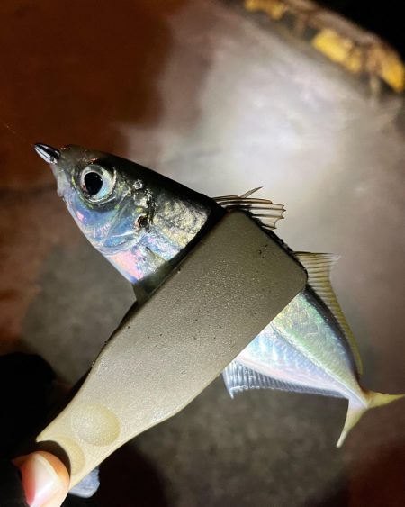 休みの日の恒例行儀w