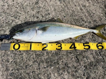 帰り支度をしていると