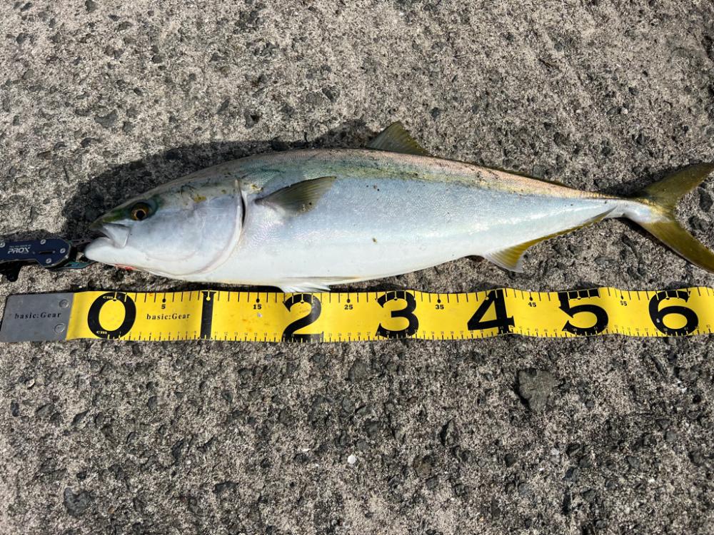 帰り支度をしていると