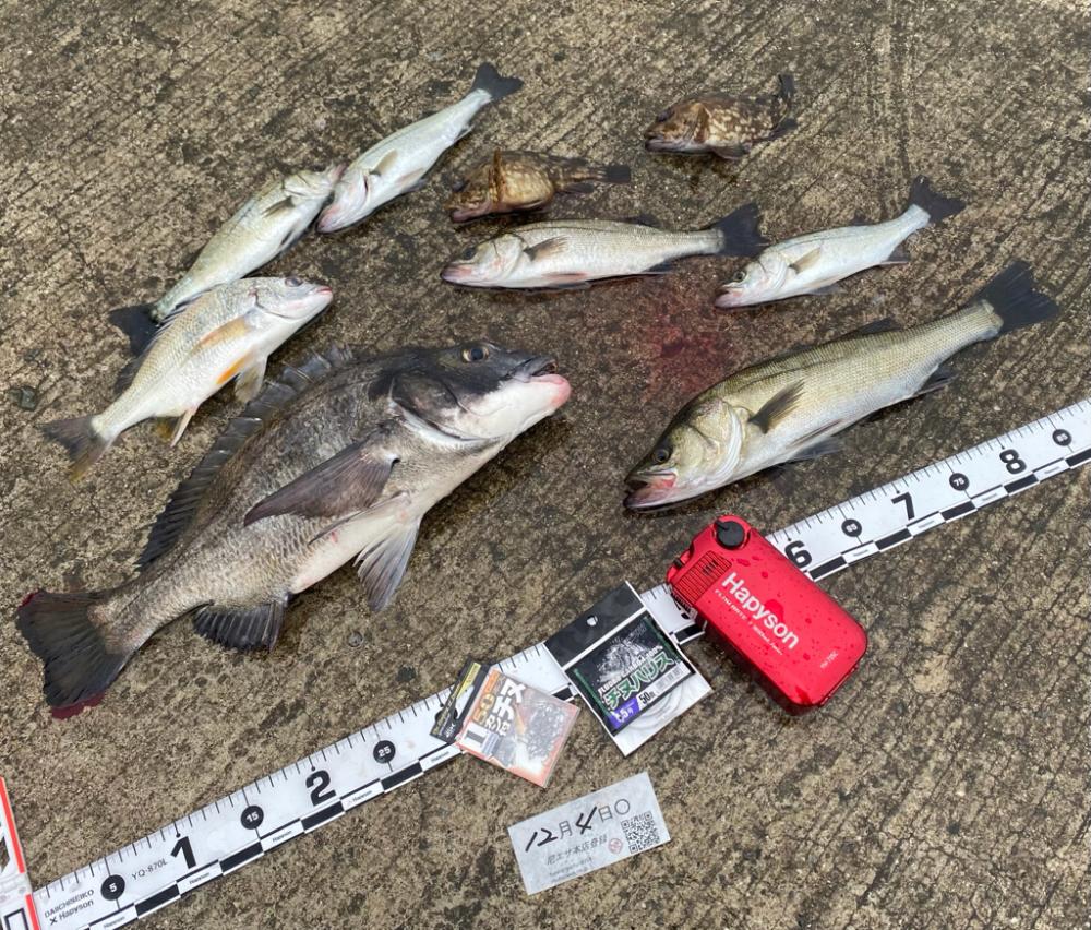 気温が下がり水温も下がり