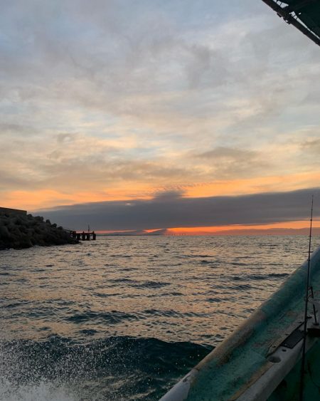 ガシラのち無限ベラ