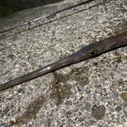 釣り納めパート2