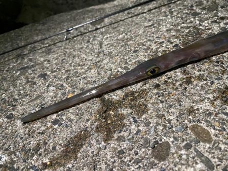 釣り納めパート2