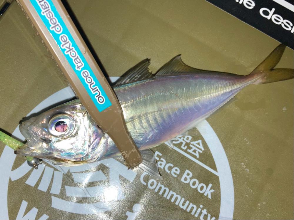 なかなか廻って来ない