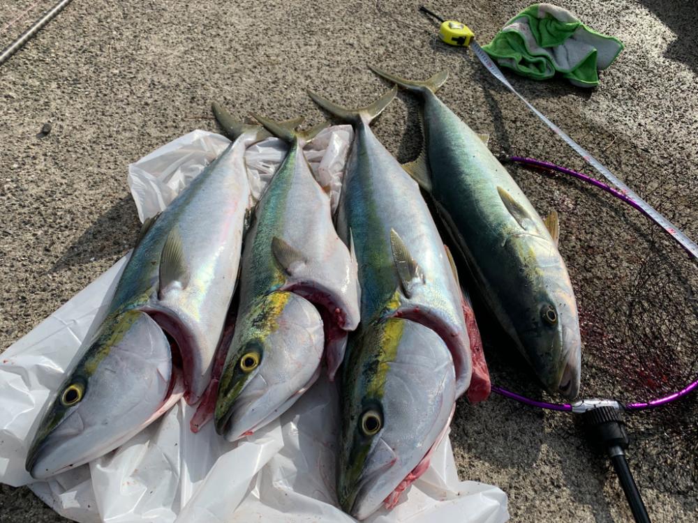 青物りんこやx4