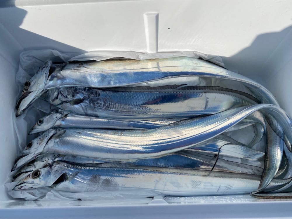 極寒の船タチウオ