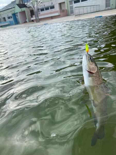 釣れ釣れ　亀岡　プール
