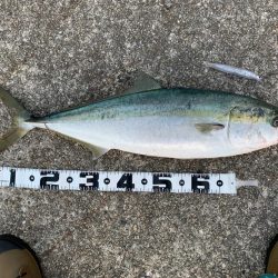 年内最後の釣行!