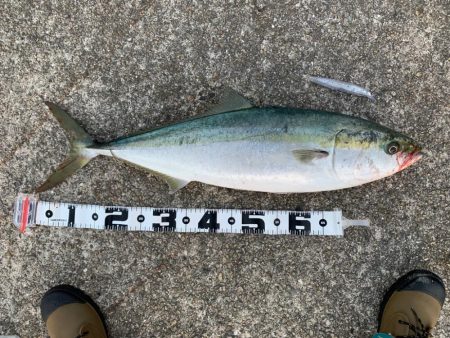 年内最後の釣行！