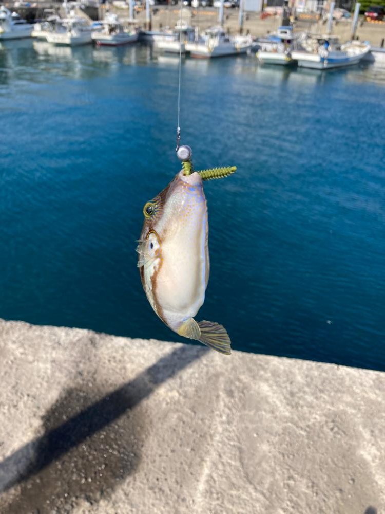 ベイトタックルデビューで小物釣り