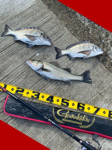 釣り場に着くと