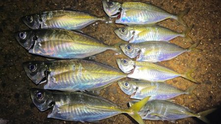 軽量ジグヘッド