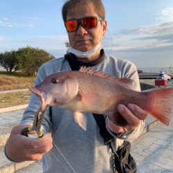 翼港　水路の端