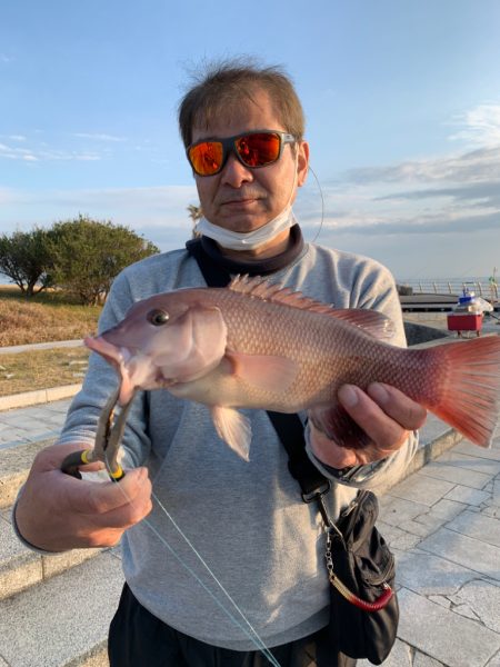 翼港　水路の端