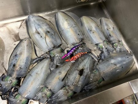 今季７杯目キロアップ