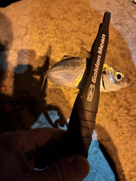 小アジオンリー