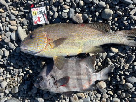 寒波の中イマイチ