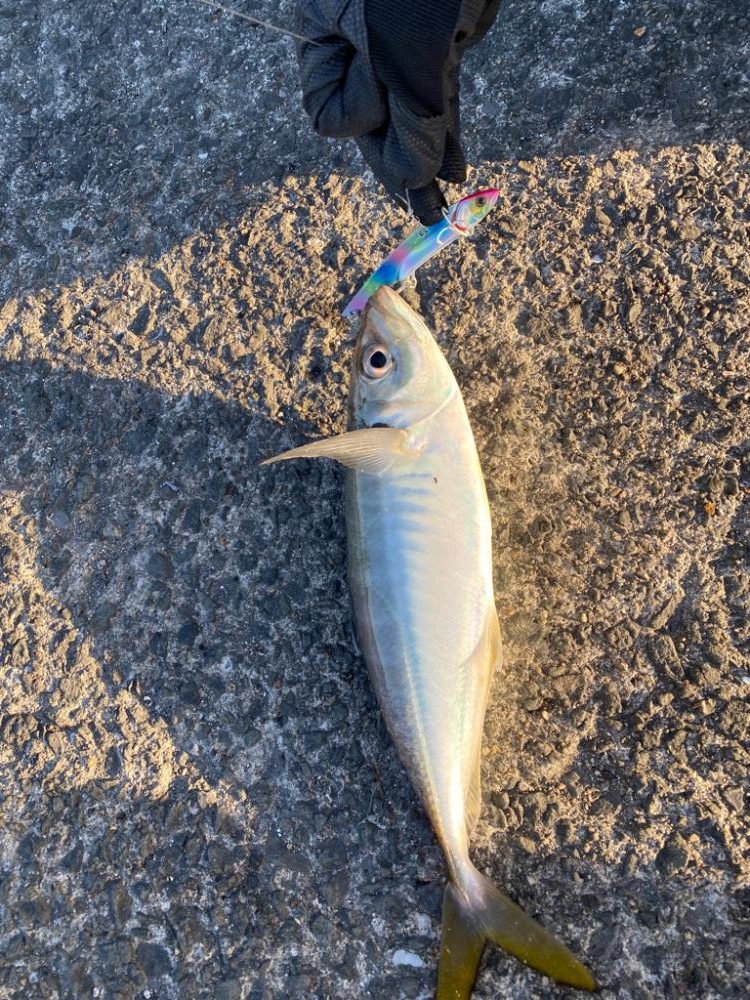 アから始まりジで終わる