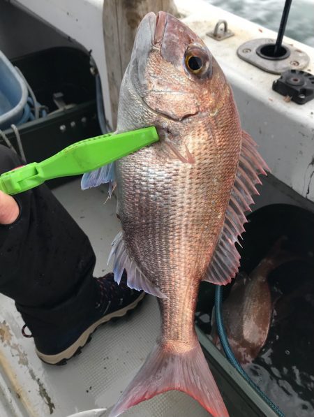 富士山てんやで一つテンヤ爆釣！