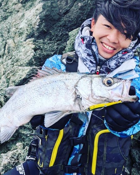 ヒラスズキ釣行