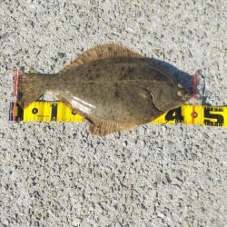 オンリー・ワン