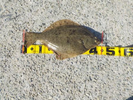 オンリー・ワン