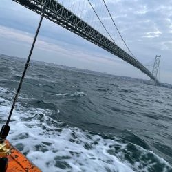 明石よりイカノマセで青物狙い