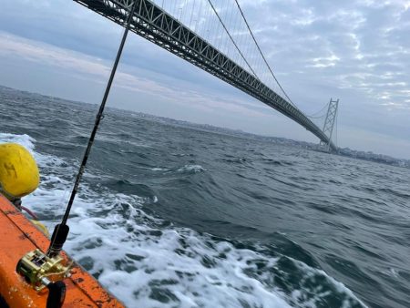 明石よりイカノマセで青物狙い