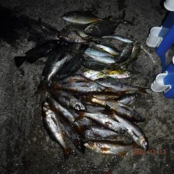 ジグヘッド五目