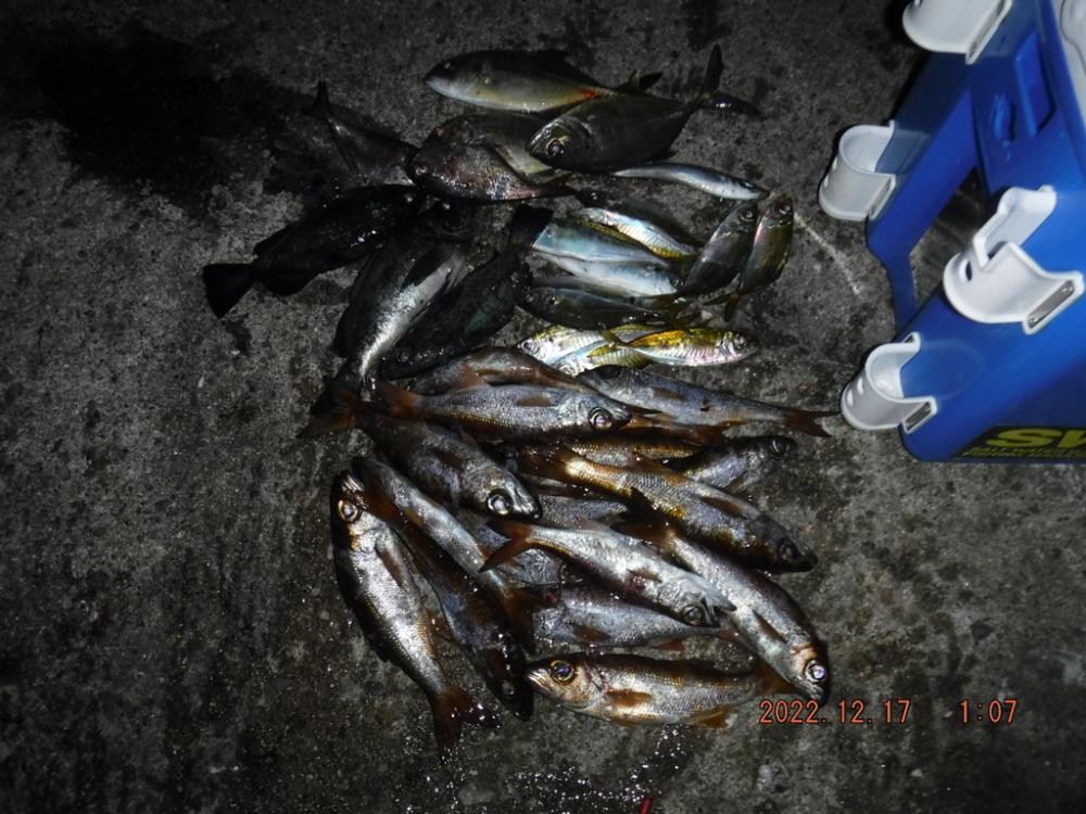 ジグヘッド五目