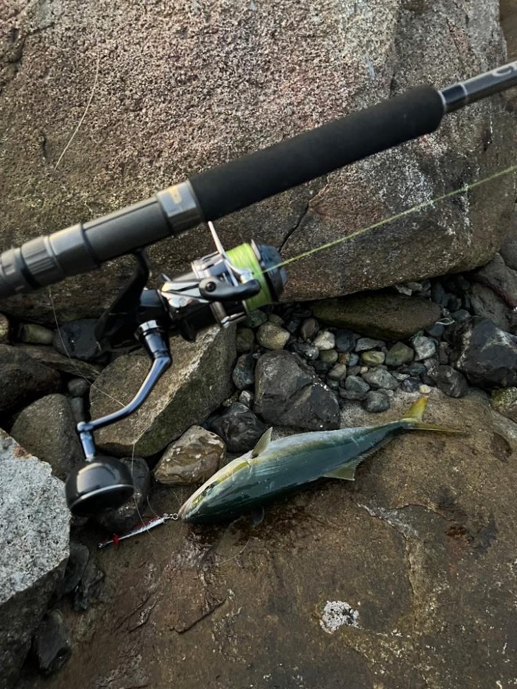 柏島ショアジギング