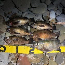 フロートメバリング