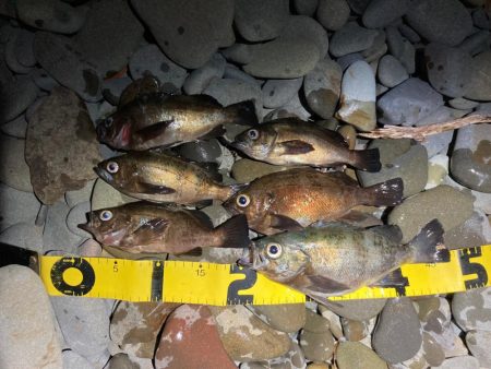 フロートメバリング