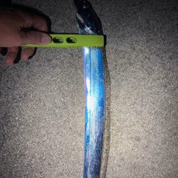 アジング、メバリング