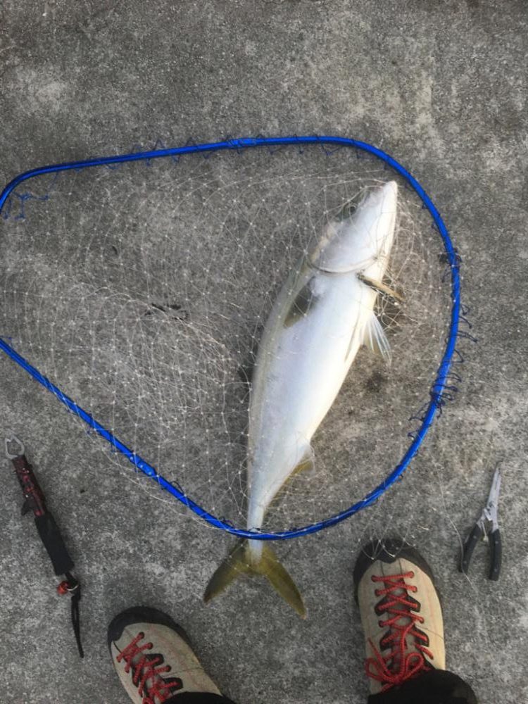 第10回雰囲気あります。