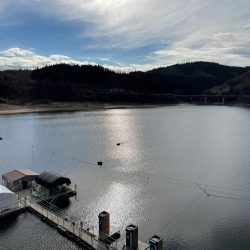 花山湖ドーム船ワカサギ