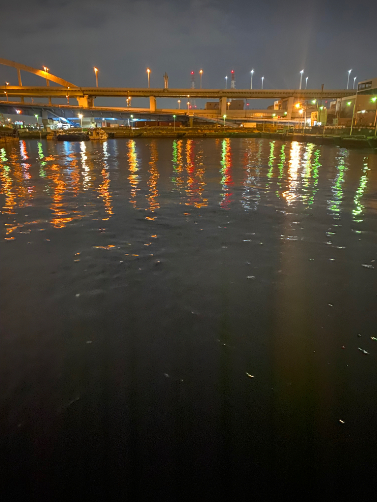 大阪湾奥アジング