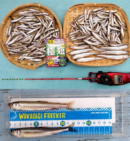 諏訪湖ワカサギ釣り！【第３戦】