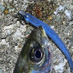 回遊待ちとレンジ合わせで激ムズアジング！イージーシェイカーは激熱！