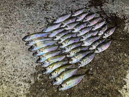 無限ではなかった豆ラッシュ